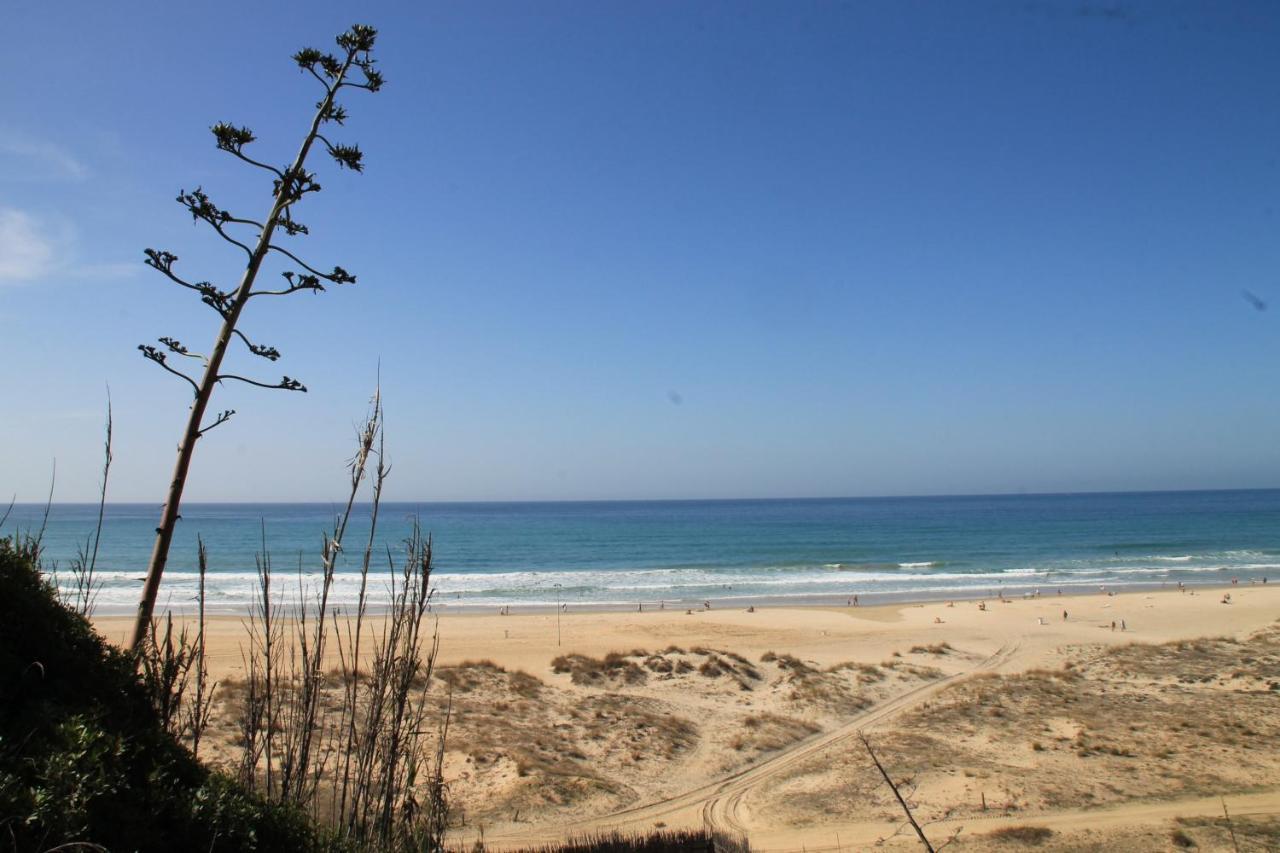 Estudio En El Centro De Conil Conil De La Frontera Εξωτερικό φωτογραφία